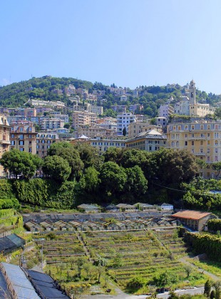 Genova - Giardini