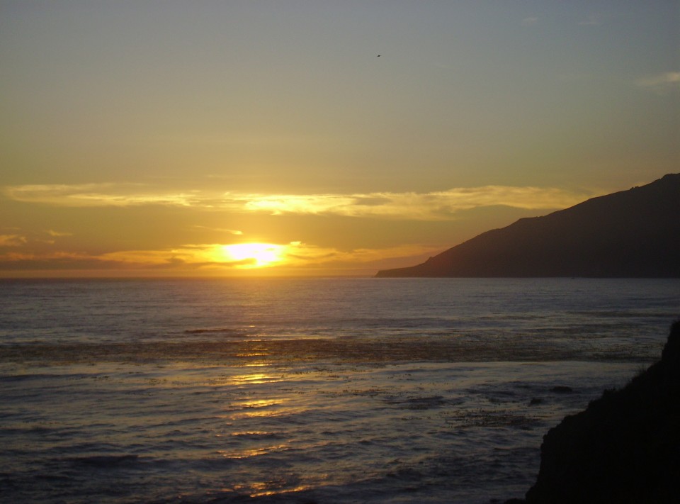 California - California 1