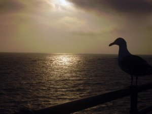 Los Angeles - Santa Monica