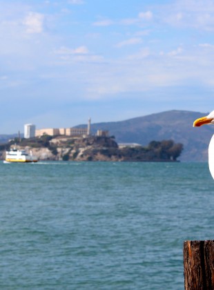 San Francisco - Alcatraz