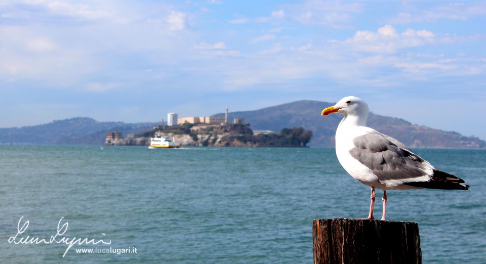 San Francisco - Alcatraz